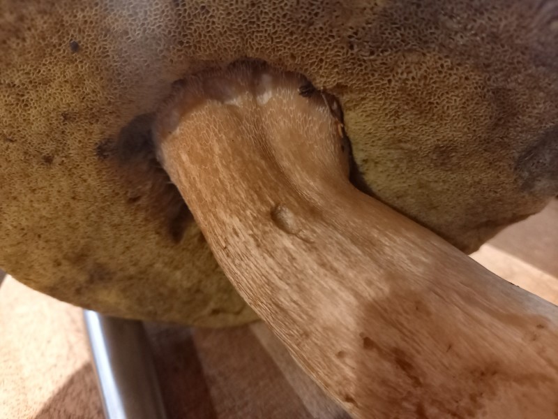 20221023_163930.jpg