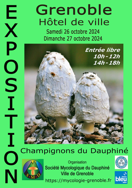 Exposition_ Grenoble_2024.jpeg