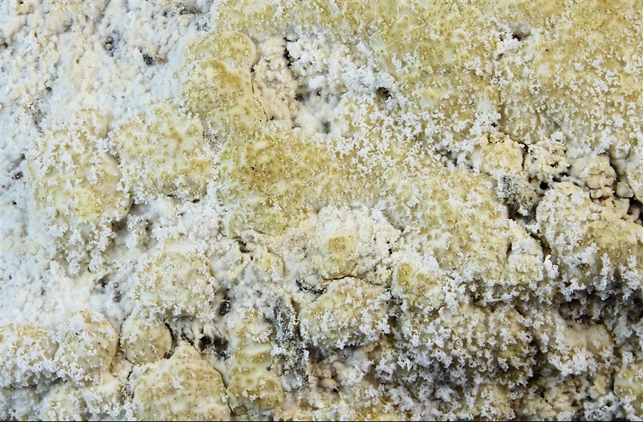 2026-03-16-15.26.22 ZS PMax.jpg