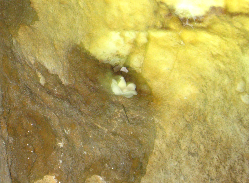 en-grotte.jpg