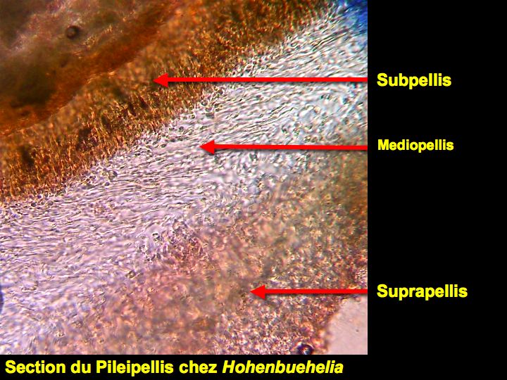 Slide1.jpg
