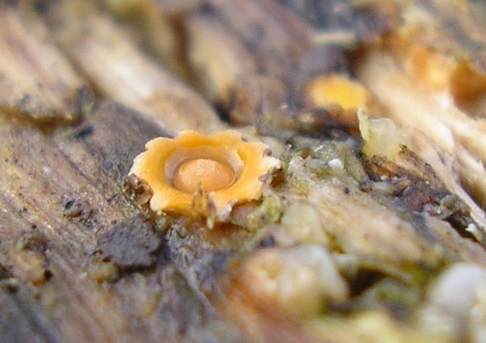 PB240223.JPG