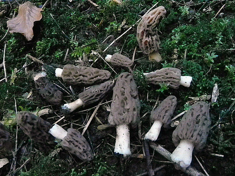 DSCN1791my.JPG
