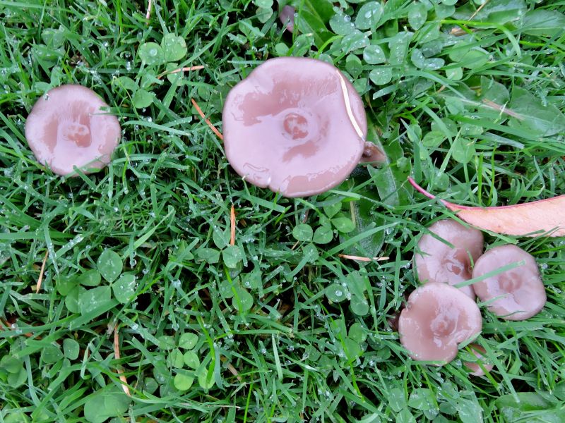 DSCN9091.jpg