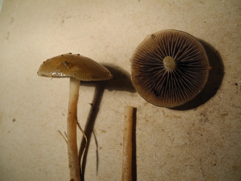 DSCN1756.JPG